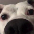 ace_45 (Ace) free OnlyFans Leaks 

 profile picture