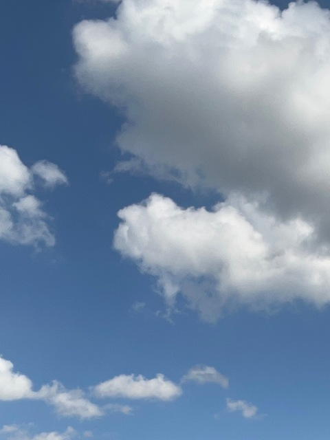 Header of allyyybabyyyy