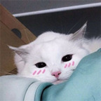 Free access to @ambien Leaked OnlyFans 

 profile picture