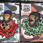 armypacks OnlyFans Leak 

 profile picture