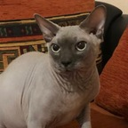 Free access to (@arriannaa2003) Leaks OnlyFans 

 profile picture