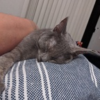 Download arwenadventures OnlyFans leaks for free 

 profile picture