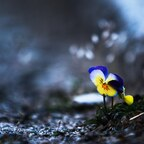 Onlyfans leak bamxd 

 profile picture