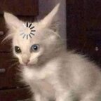 Batu batux Leaked OnlyFans 

 profile picture