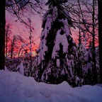 bi-cocknojzl (Bicocknojzl) free OnlyFans Leaked Pictures and Videos 

 profile picture