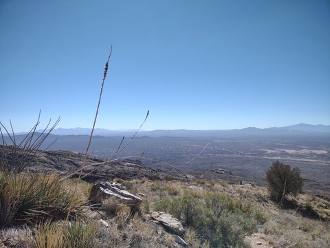 Header of bigfannieannie