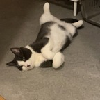 Onlyfans leaked blackpuma18 

 profile picture