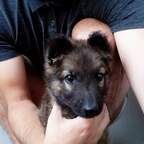 Free access to bokica Leaked OnlyFans 

 profile picture