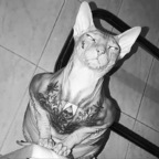 Onlyfans leak boyganja 

 profile picture