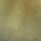 brandiblossom OnlyFans Leaks 

 profile picture