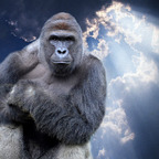 Free access to bringer Leaks OnlyFans 

 profile picture