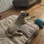 Download buffalomadeofrice OnlyFans content for free 

 profile picture