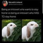 Onlyfans leaks bunnybums 

 profile picture