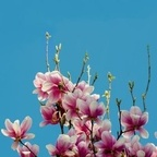 Onlyfans leaks bunnybunn 

 profile picture