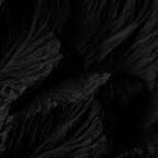 Download cat_damage OnlyFans content for free 

 profile picture