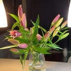 Download chanelbabe143 OnlyFans videos and photos for free 

 profile picture