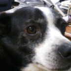 Free access to @chriscrumpet52 Leaked OnlyFans 

 profile picture