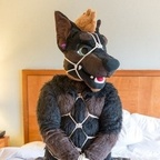 daddydober (Daddy Dober ฅ^•ﻌ•^ฅ) OnlyFans Leaked Videos and Pictures 

 profile picture