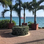 Dhyana (@dhyana) Leaked OnlyFans 

 profile picture