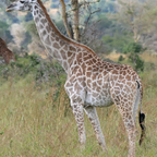 Download dickedemdown OnlyFans leaks for free 

 profile picture