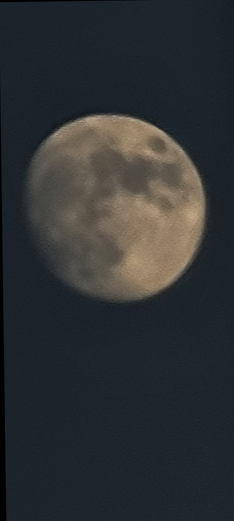 Header of doriangreyer