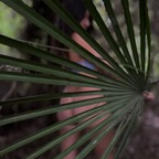 Onlyfans leak el.secreto.de.ada 

 profile picture