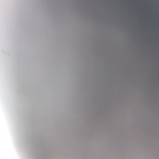erharda (u27640424) OnlyFans Leaked Pictures & Videos 

 profile picture