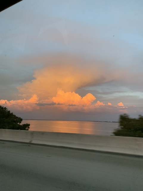 Header of fierynymph