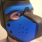 Onlyfans leaked foxpupray 

 profile picture