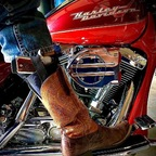 Download harleyguy666 OnlyFans videos and photos for free 

 profile picture