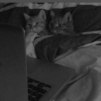 hellenax (Helena A.) free OnlyFans Leaked Pictures & Videos 

 profile picture