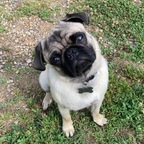 hisreverie (hisreverie) OnlyFans content 

 profile picture