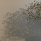 Ien @ienfelloryy Leak OnlyFans 

 profile picture