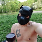 igamenir (Igy (pup/owner)) free OnlyFans Leaked Videos and Pictures 

 profile picture