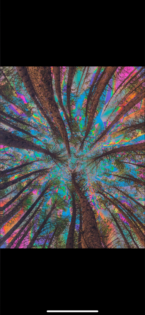 Header of inddigolove