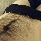 Download jamie2092 OnlyFans leaks for free 

 profile picture