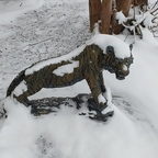 Onlyfans leaks jaycrow 

 profile picture