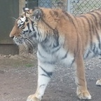 Download just4u OnlyFans videos and photos for free 

 profile picture