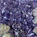 k1963 (Mendocino P) free OnlyFans content 

 profile picture