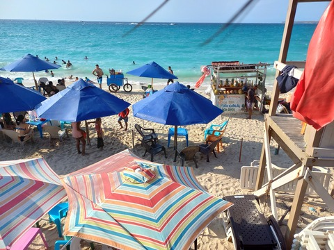 Header of kandysofia