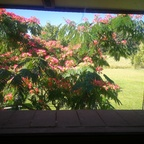 katnis OnlyFans Leak 

 profile picture