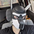kikohuskyad (KikoHusky) OnlyFans content 

 profile picture