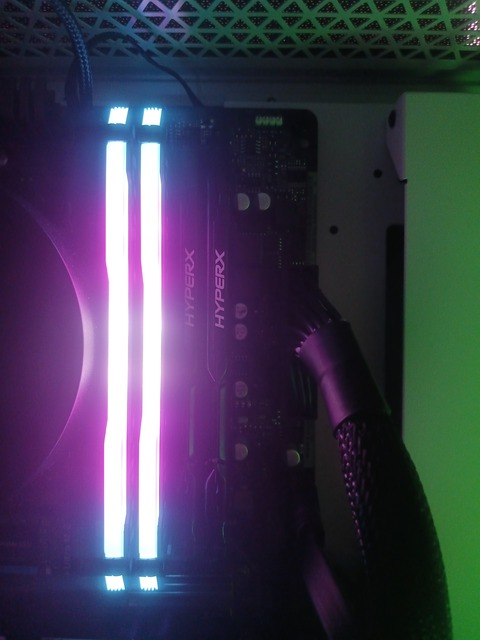 Header of kitty_violet