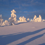 lemod6 (Lemod6) free OnlyFans Leaks 

 profile picture