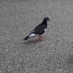 Download lissasof OnlyFans videos and photos for free 

 profile picture