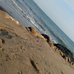 lizip OnlyFans Leaked Photos and Videos 

 profile picture