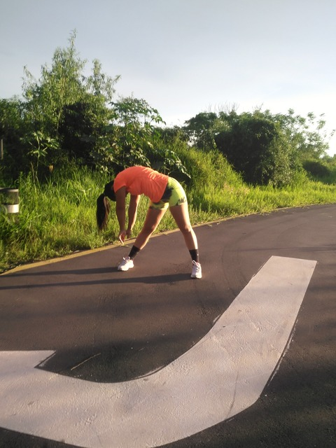 Header of lolycortessi