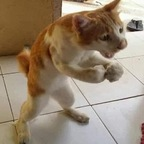 Onlyfans leak longstrokes_wetpussy 

 profile picture