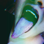 Tonguequeen @lupitahellqueeen Leak OnlyFans 

 profile picture