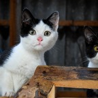 Onlyfans leaked maydayx 

 profile picture